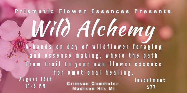 Wild Alchemy: Crafting Your Own Flower Essence in Madison Heights, MI