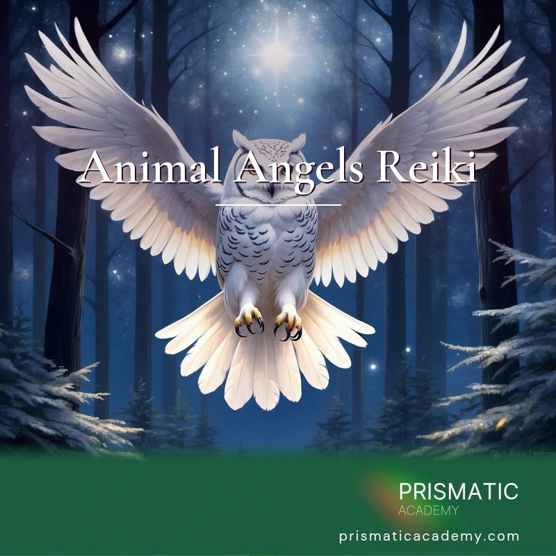 Animal Angels Reiki
