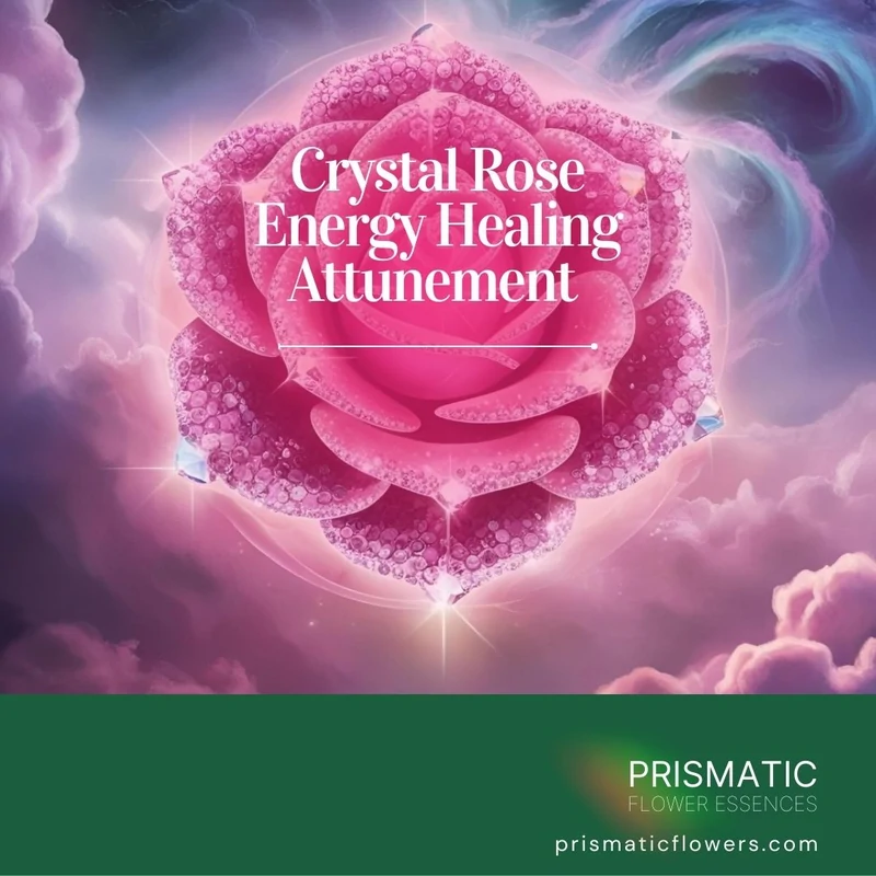 Crystal Rose Energy Healing Attunement