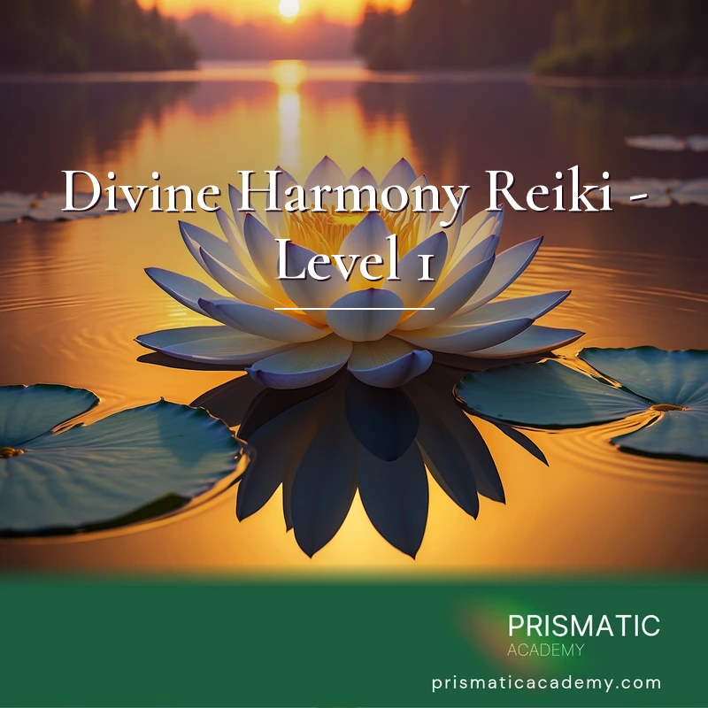 Divine Harmony Reiki - Level 1