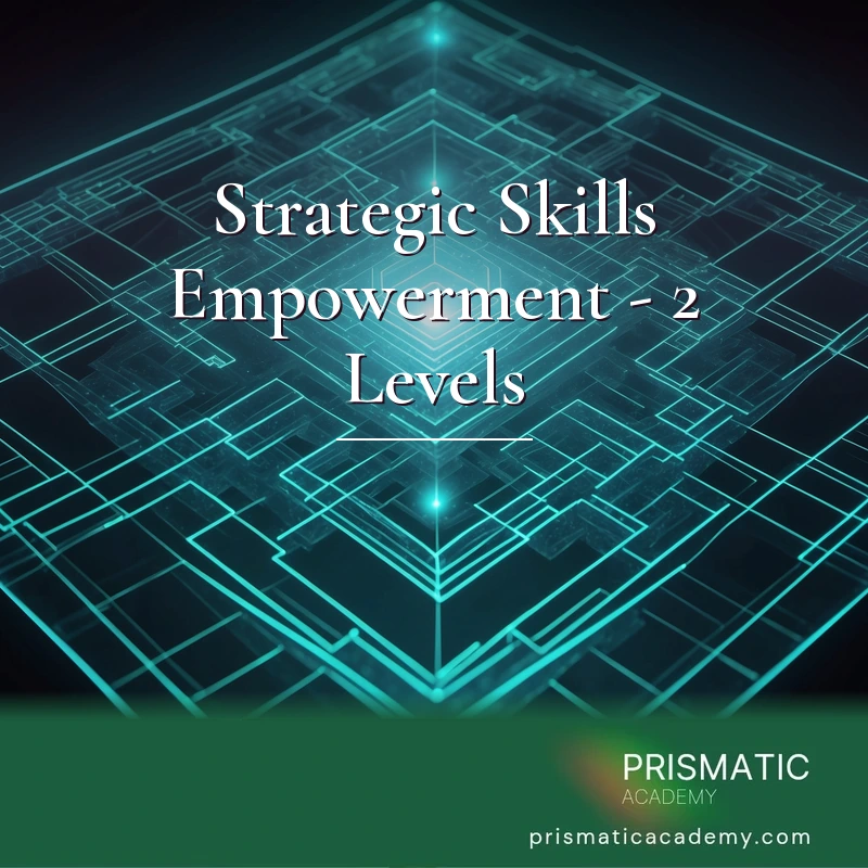Strategic Skills Empowerment - 2 Levels